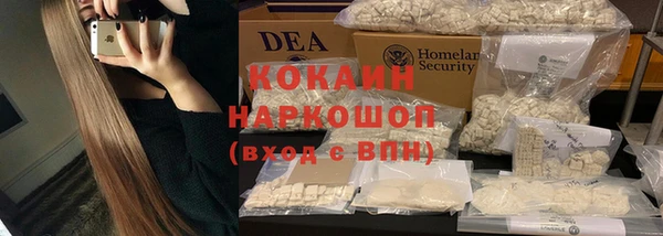 твердый Аркадак