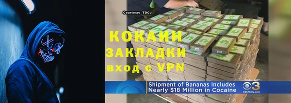 твердый Аркадак