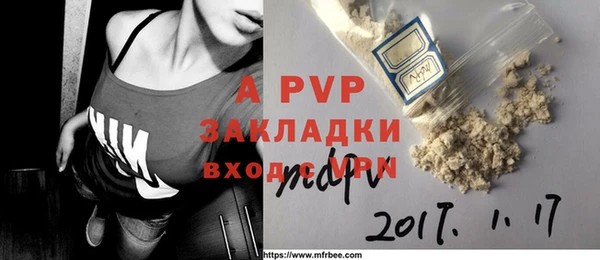 твердый Аркадак