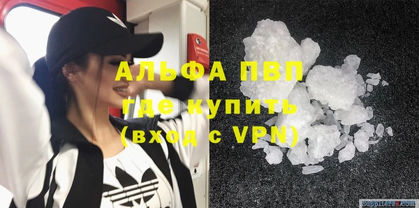 твердый Аркадак