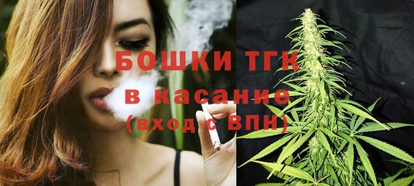 твердый Аркадак