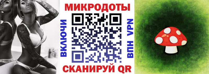 Купить  Старица  Галлюциногенные грибы мухоморы 